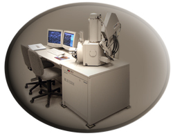 Scanning electron microscope